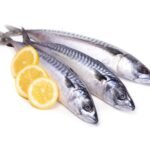 Šaldyta Atlantinė skumbrė su galva, 1kg